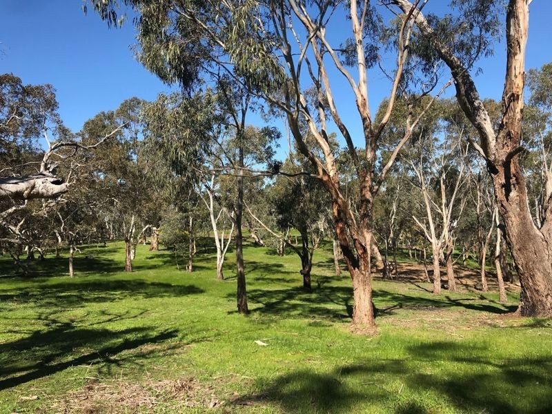 2 Wirrinilla Drive, Macclesfield SA 5153