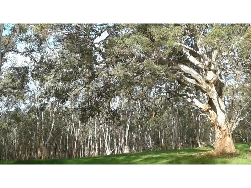 2 Wirrinilla Drive, Macclesfield SA 5153