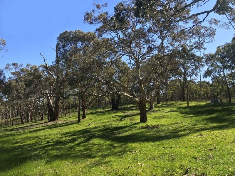 2 Wirrinilla Drive, Macclesfield SA 5153