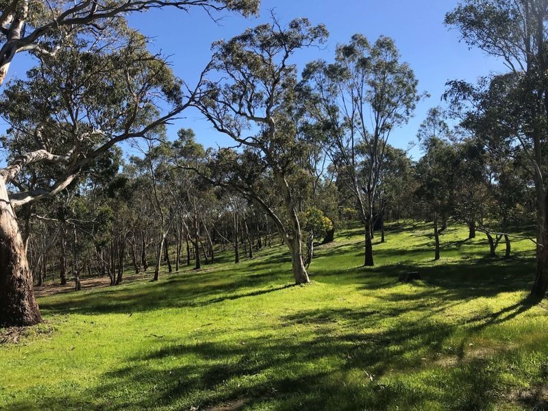 2 Wirrinilla Drive, Macclesfield SA 5153