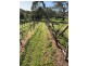 22 Yaktanga Way, Mount Barker SA 5251