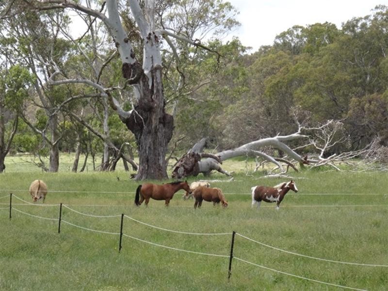 24A Brookman Rd, Meadows SA 5201