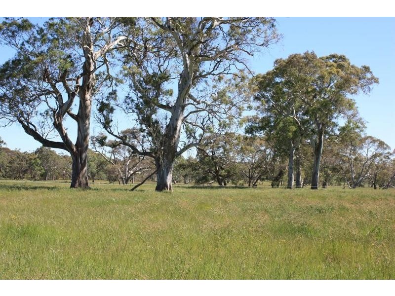 24A Brookman Rd, Meadows SA 5201