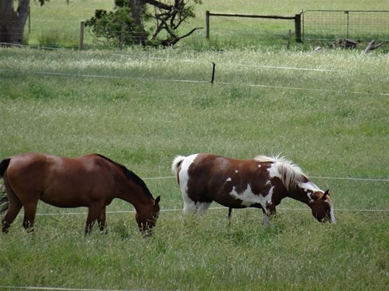 24A Brookman Rd, Meadows SA 5201