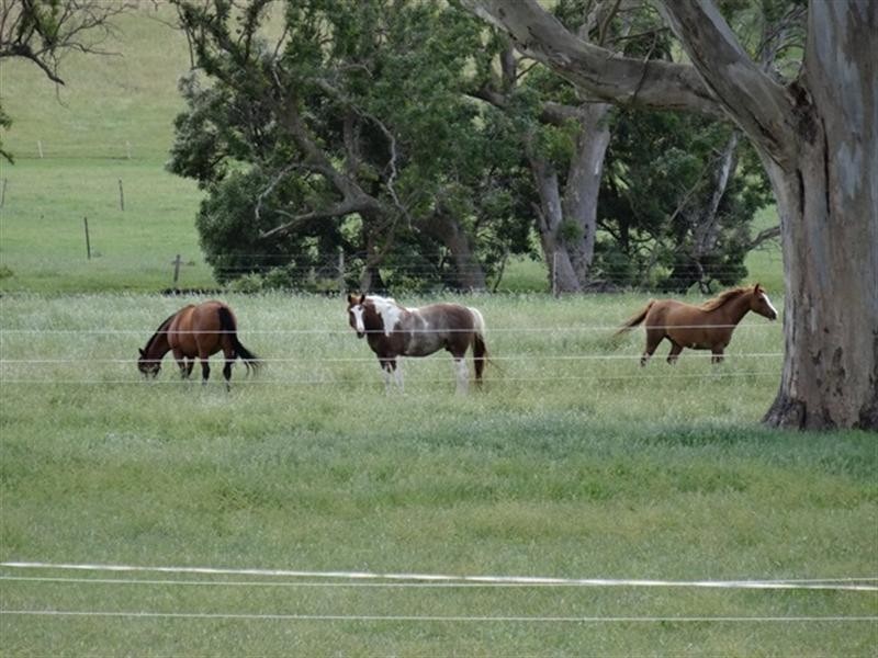 24A Brookman Rd, Meadows SA 5201