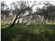 855 Ashbourne Rd, Strathalbyn SA 5255