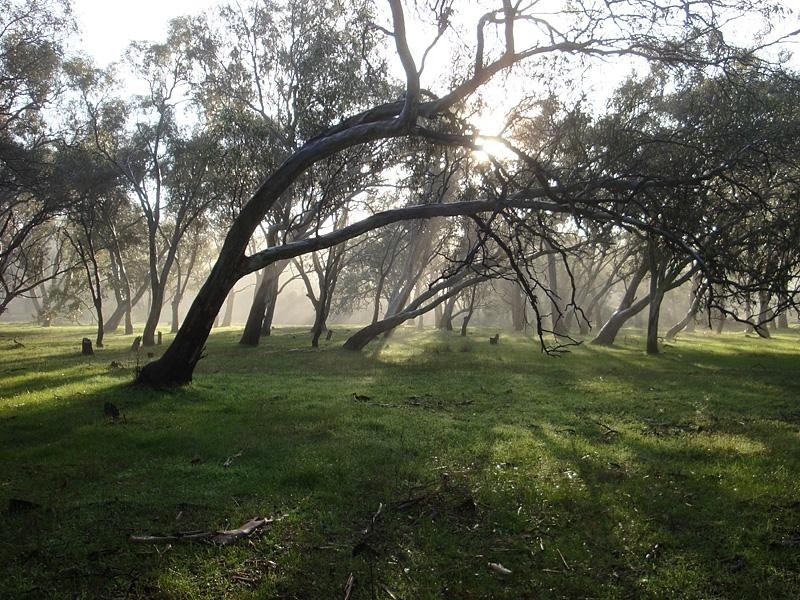 855 Ashbourne Rd, Strathalbyn SA 5255