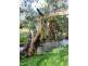 855 Ashbourne Rd, Strathalbyn SA 5255