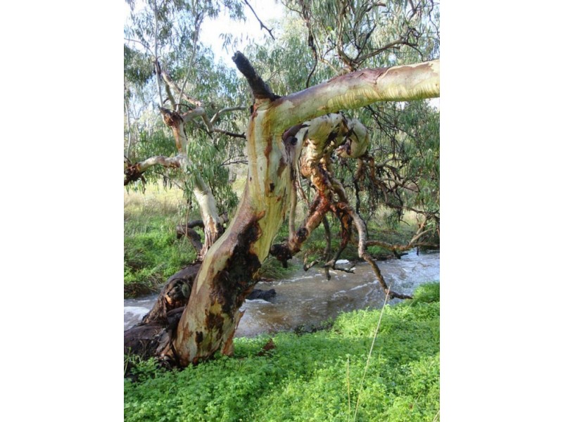 855 Ashbourne Rd, Strathalbyn SA 5255