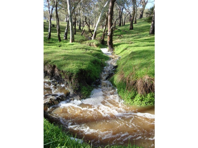 855 Ashbourne Rd, Strathalbyn SA 5255