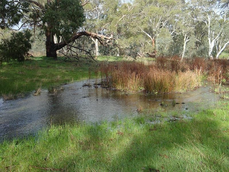 855 Ashbourne Rd, Strathalbyn SA 5255