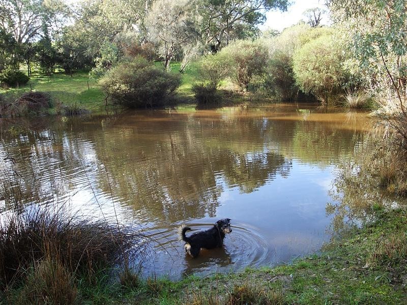 855 Ashbourne Rd, Strathalbyn SA 5255