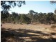 855 Ashbourne Rd, Strathalbyn SA 5255
