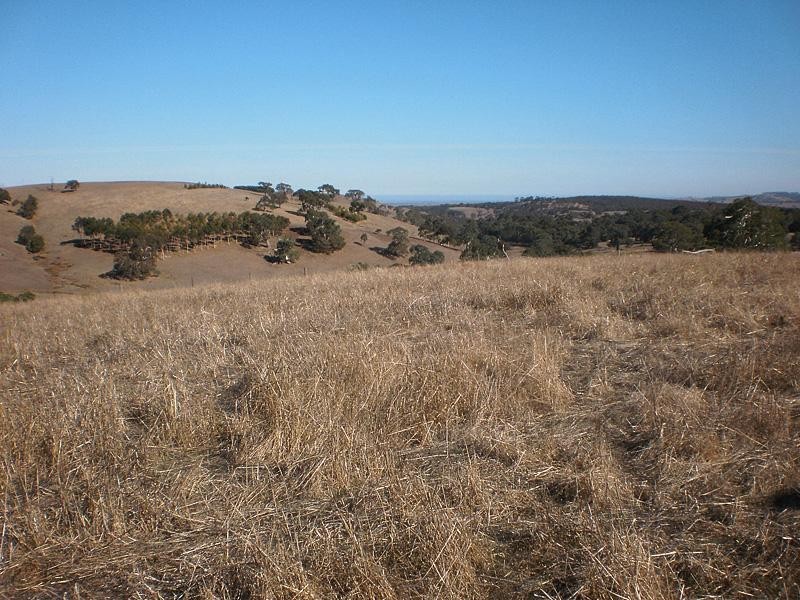 855 Ashbourne Rd, Strathalbyn SA 5255