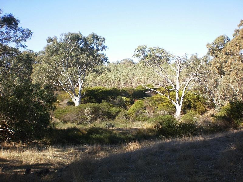 855 Ashbourne Rd, Strathalbyn SA 5255