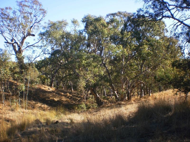 855 Ashbourne Rd, Strathalbyn SA 5255