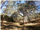 855 Ashbourne Rd, Strathalbyn SA 5255