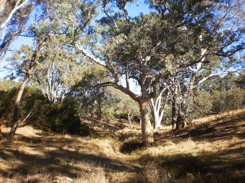 855 Ashbourne Rd, Strathalbyn SA 5255