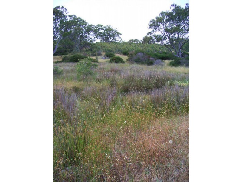855 Ashbourne Rd, Strathalbyn SA 5255