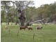 24A Brookman  Rd, Meadows SA 5201