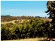 52 Kym Ave, Littlehampton SA 5250