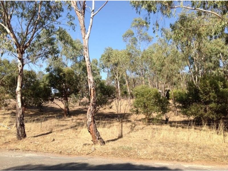 Lot 983 Young Rd, Kanmantoo SA 5252