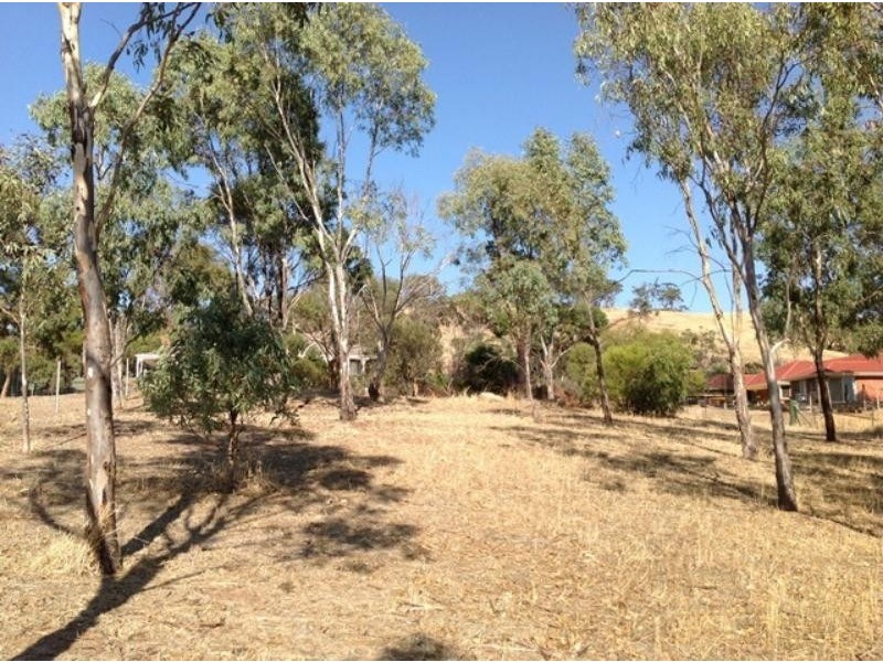 Lot 983 Young Rd, Kanmantoo SA 5252