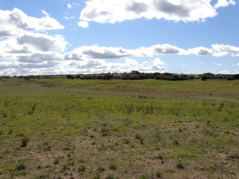 8 Garwood Rd, Monarto South SA 5254