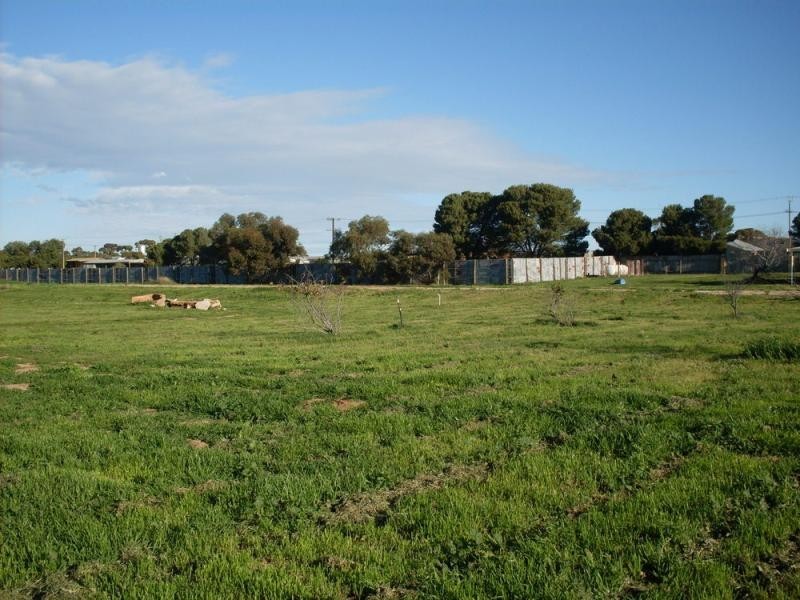 66 Burdekin Ave, Murray Bridge SA 5253