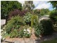 7 Junction St, Nairne SA 5252