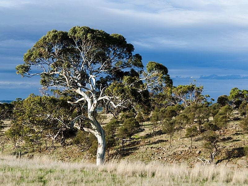 223 Bondleigh  Rd, Rockleigh SA 5254