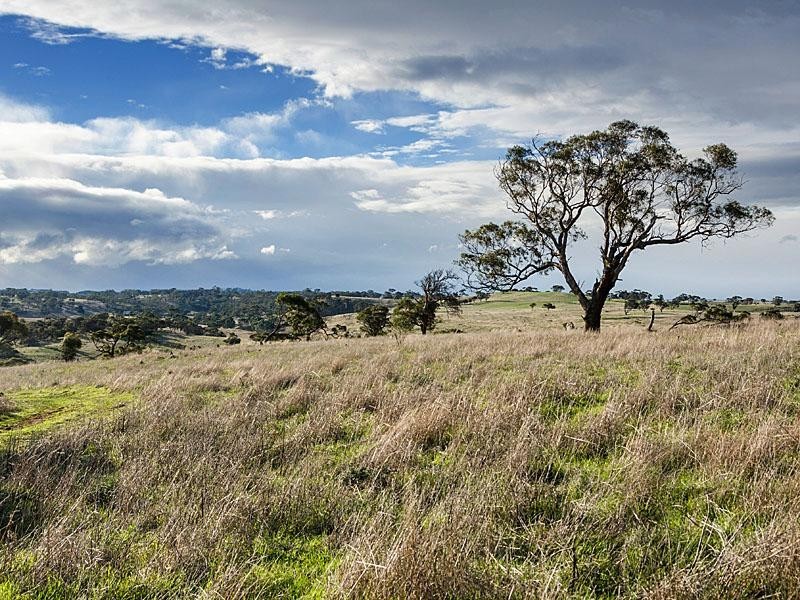 223 Bondleigh  Rd, Rockleigh SA 5254