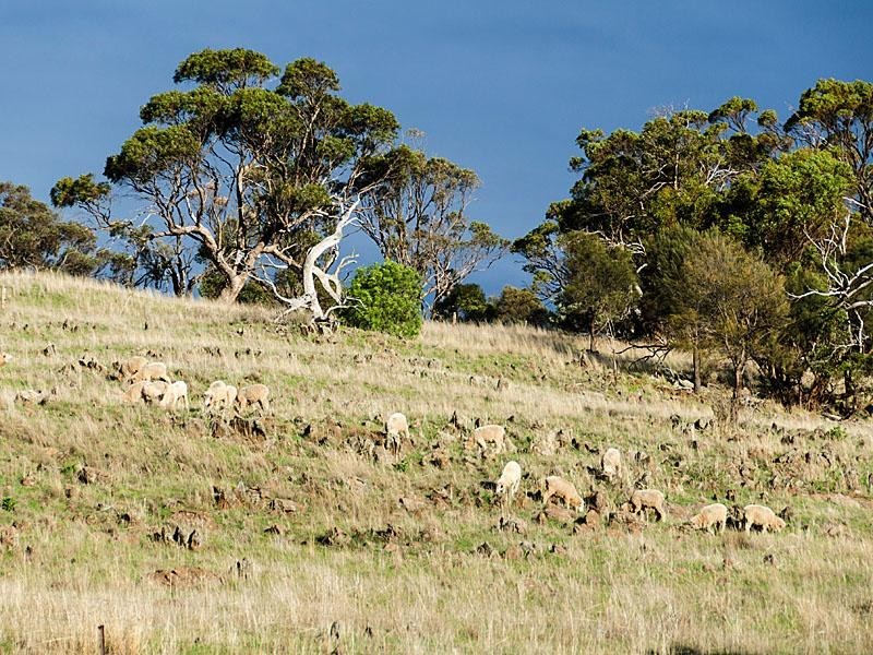 223 Bondleigh  Rd, Rockleigh SA 5254