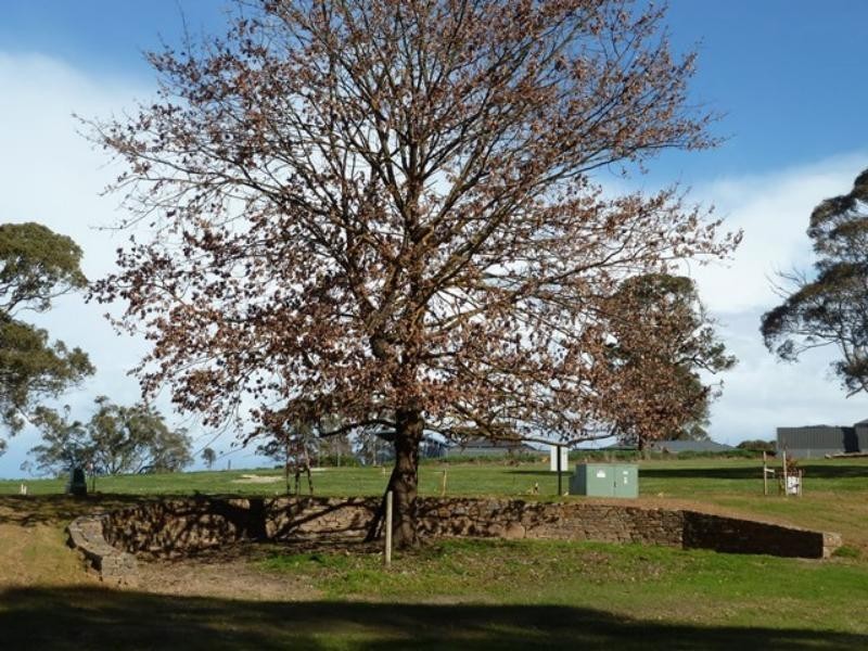 Scarlet Crest Estate, Mount Barker SA 5251