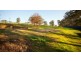 Scarlet Crest Estate, Mount Barker SA 5251