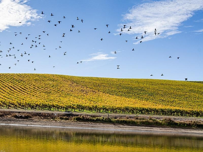 18 Mattner  Rd, Balhannah SA 5242