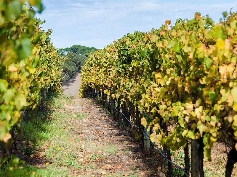 18 Mattner  Rd, Balhannah SA 5242