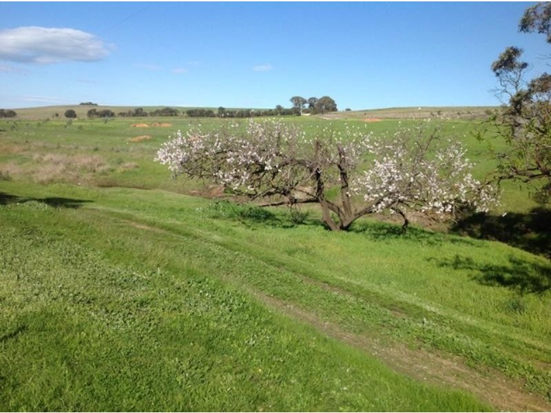 L1986 Military Rd, Harrogate SA 5244