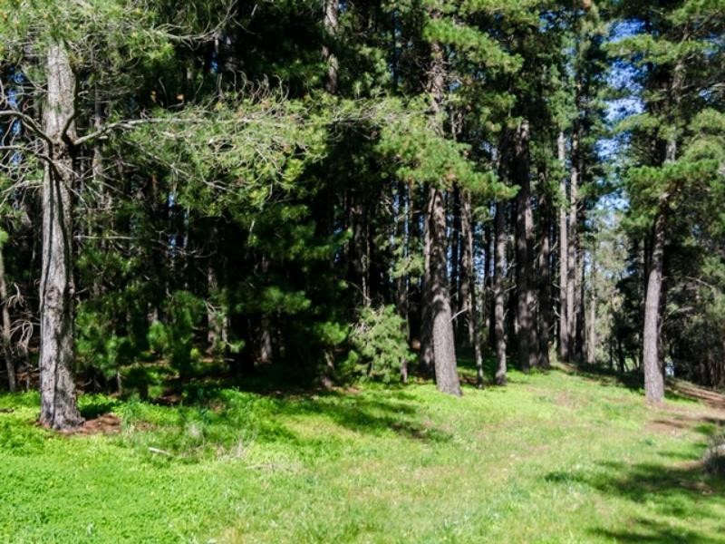 Lot 25 Piccadilly Rd, Summertown SA 5141