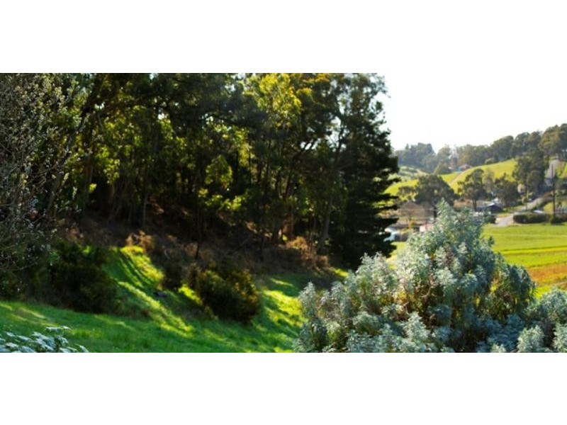 Lot 25 Piccadilly Rd, Summertown SA 5141