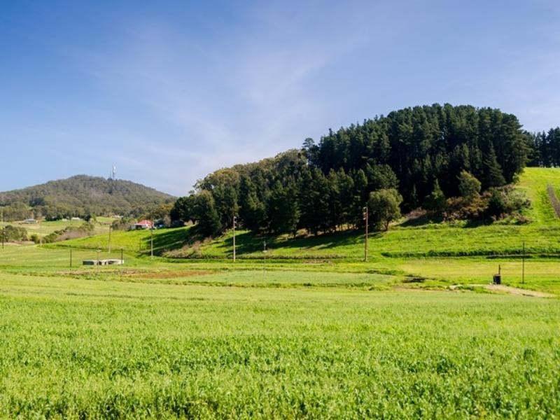 Lot 25 Piccadilly Rd, Summertown SA 5141