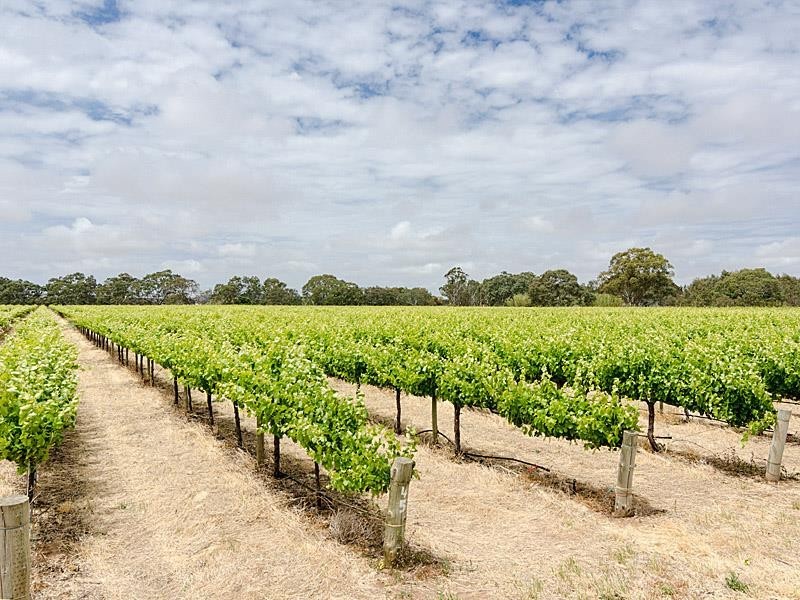 51 Chaunceys Line Rd, Hartley SA 5255