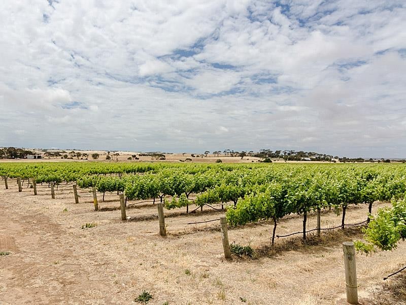 51 Chaunceys Line Rd, Hartley SA 5255