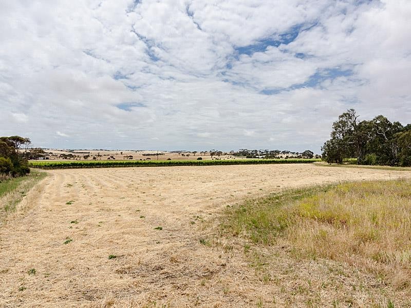 51 Chaunceys Line Rd, Hartley SA 5255