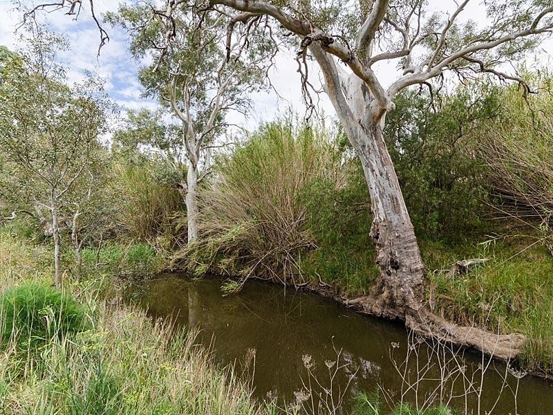 51 Chaunceys Line Rd, Hartley SA 5255