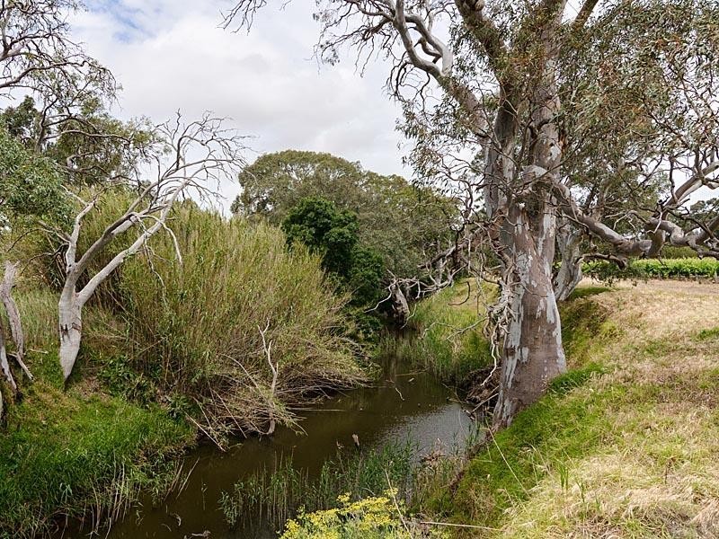 51 Chaunceys Line Rd, Hartley SA 5255