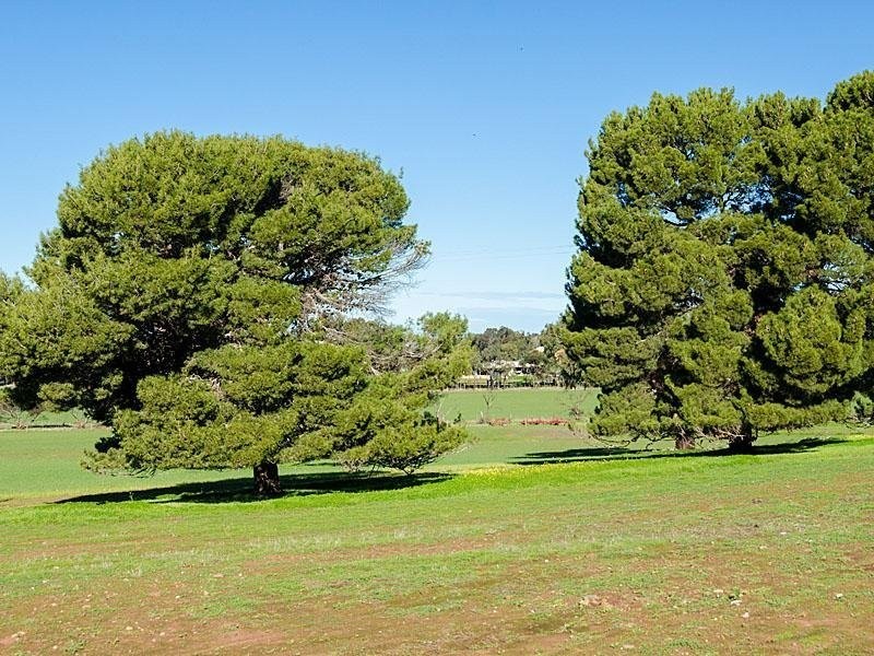 Lots 1 – 9 Baverstock Court, Kanmantoo SA 5252