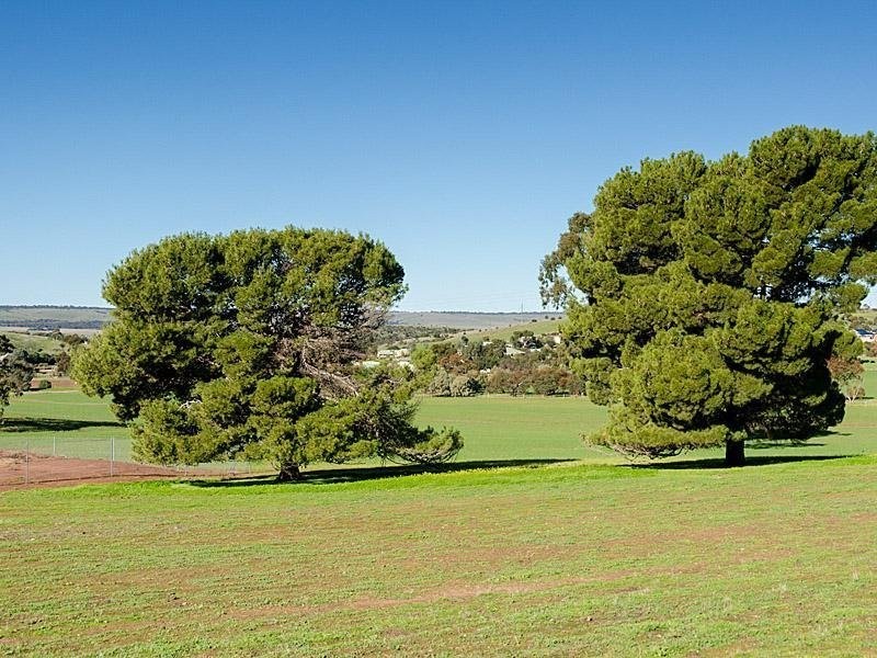 Lots 1 – 9 Baverstock Court, Kanmantoo SA 5252