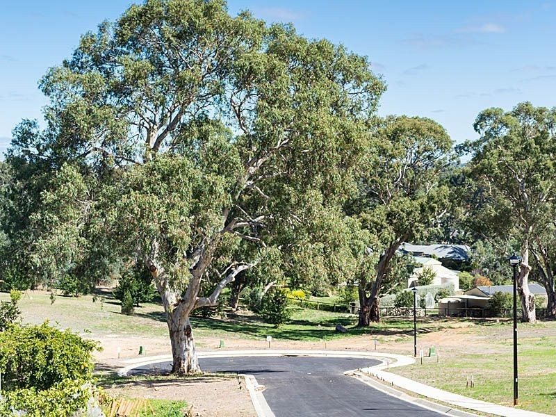 39 Burnbank  Way – Lot 3, Mount Barker SA 5251