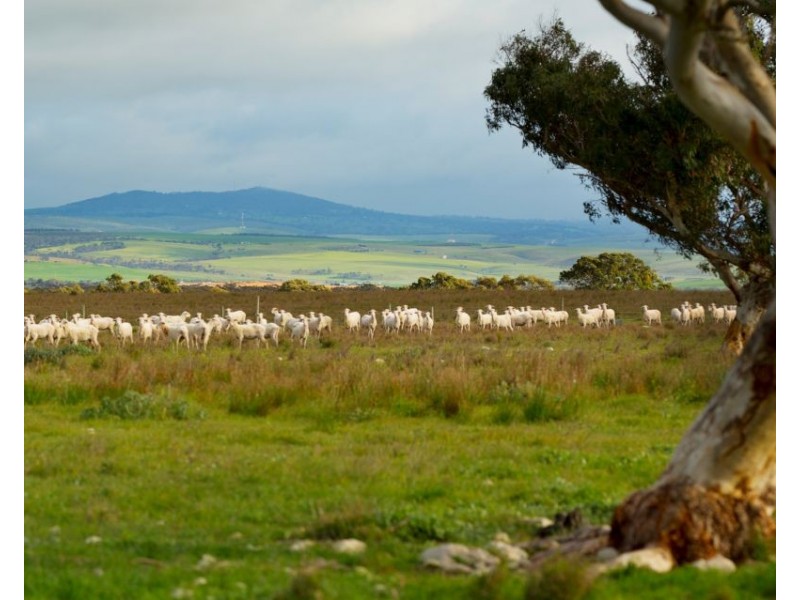 Sec 255 Chaunceys Line  Rd, Hartley SA 5255